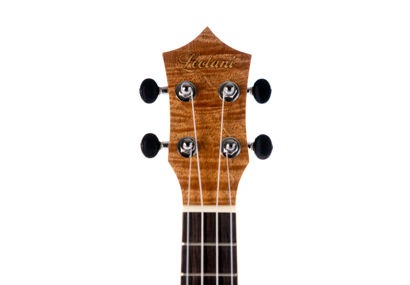 Leolani Concert Feather Curly Okoume TUX Finish Ukulele