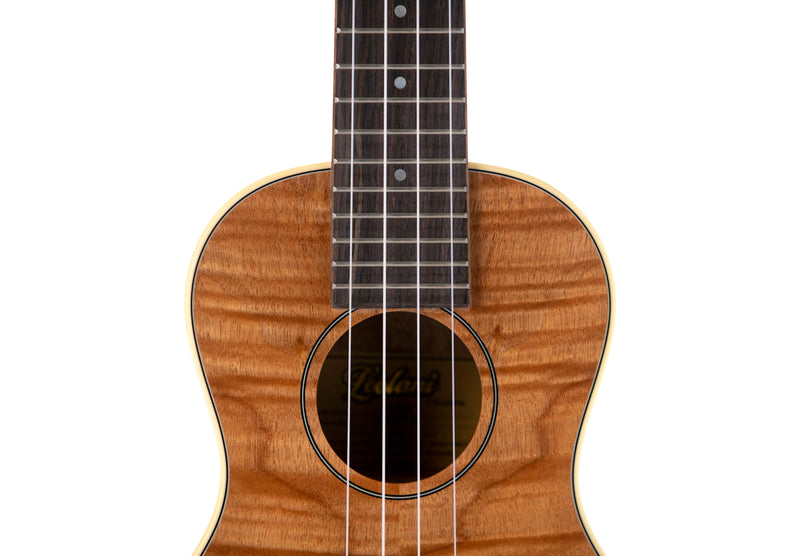 Leolani Concert Feather Curly Okoume TUX Finish Ukulele