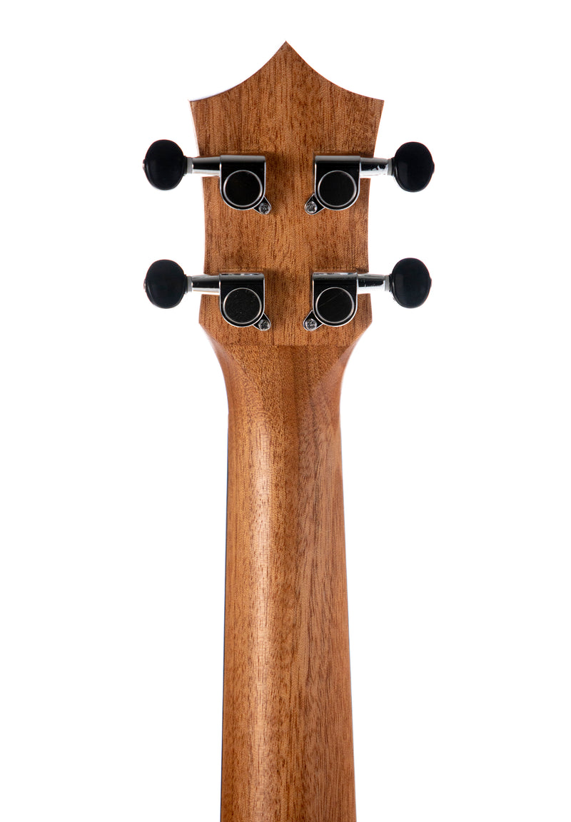 Leolani Concert Feather Curly Okoume TUX Finish Ukulele