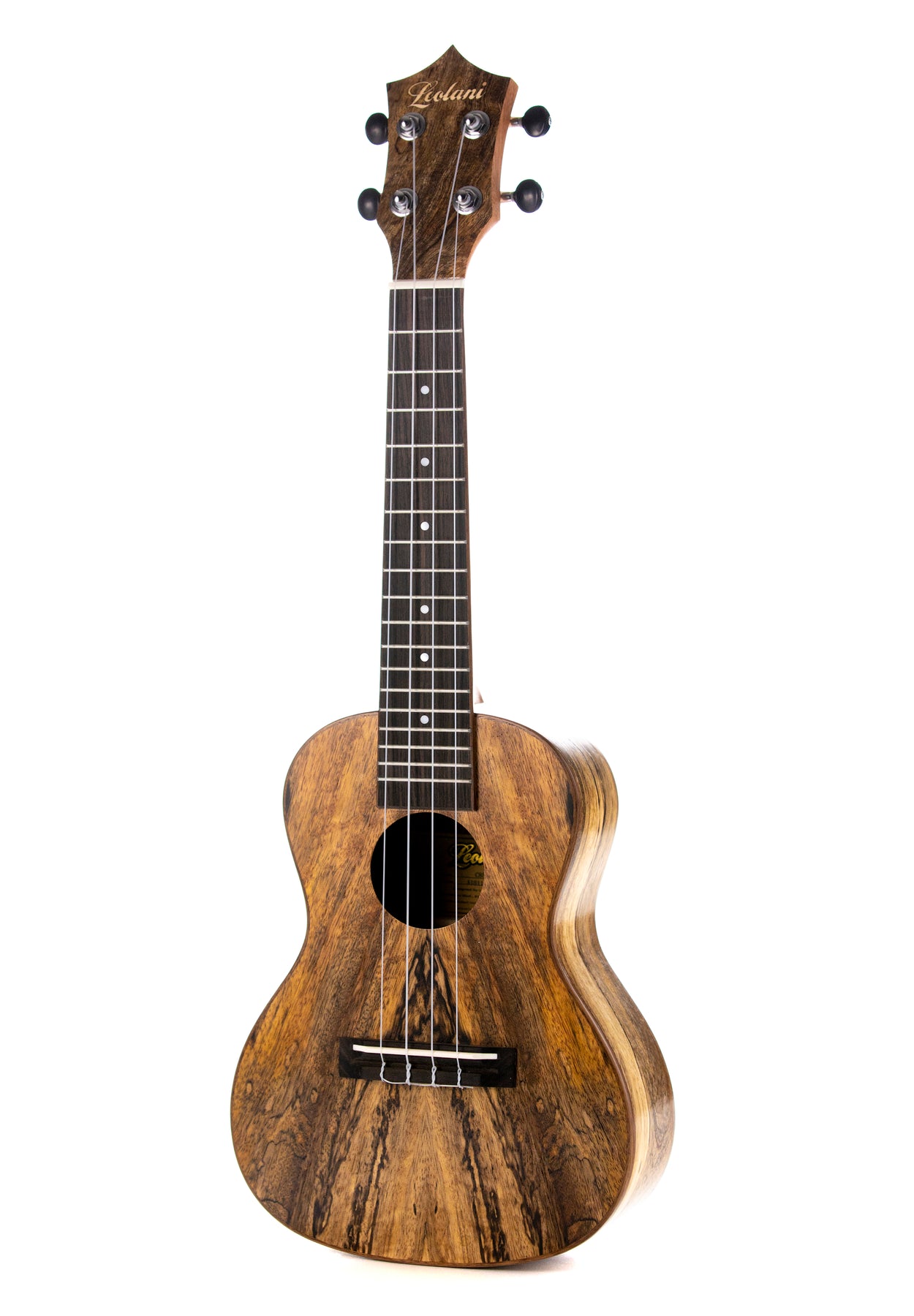 Leolani Concert Mango TUX Finish Ukulele – Leolaniウクレレ