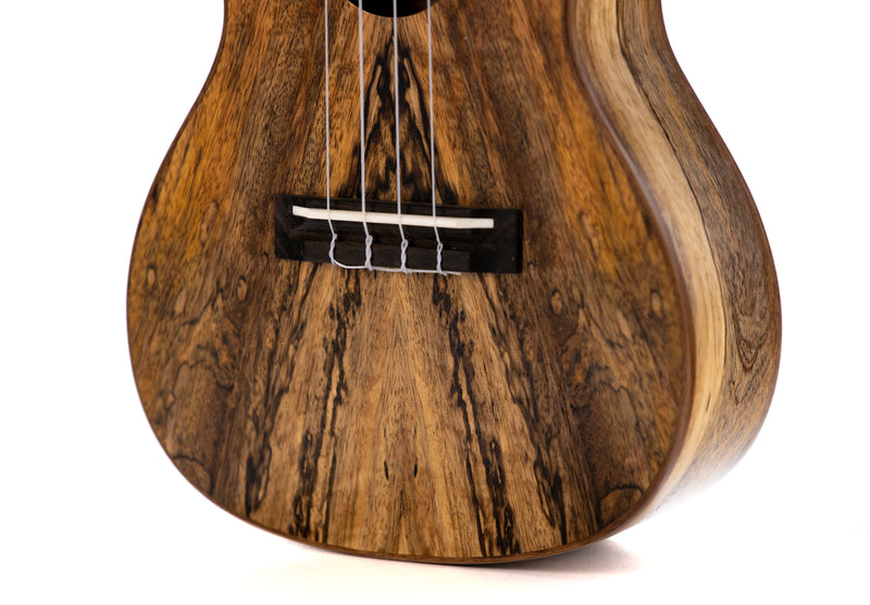 Leolani Concert Mango TUX Finish Ukulele