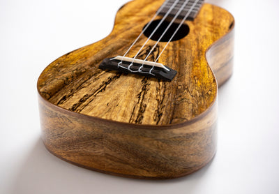 Leolani Concert Mango TUX Finish Ukulele