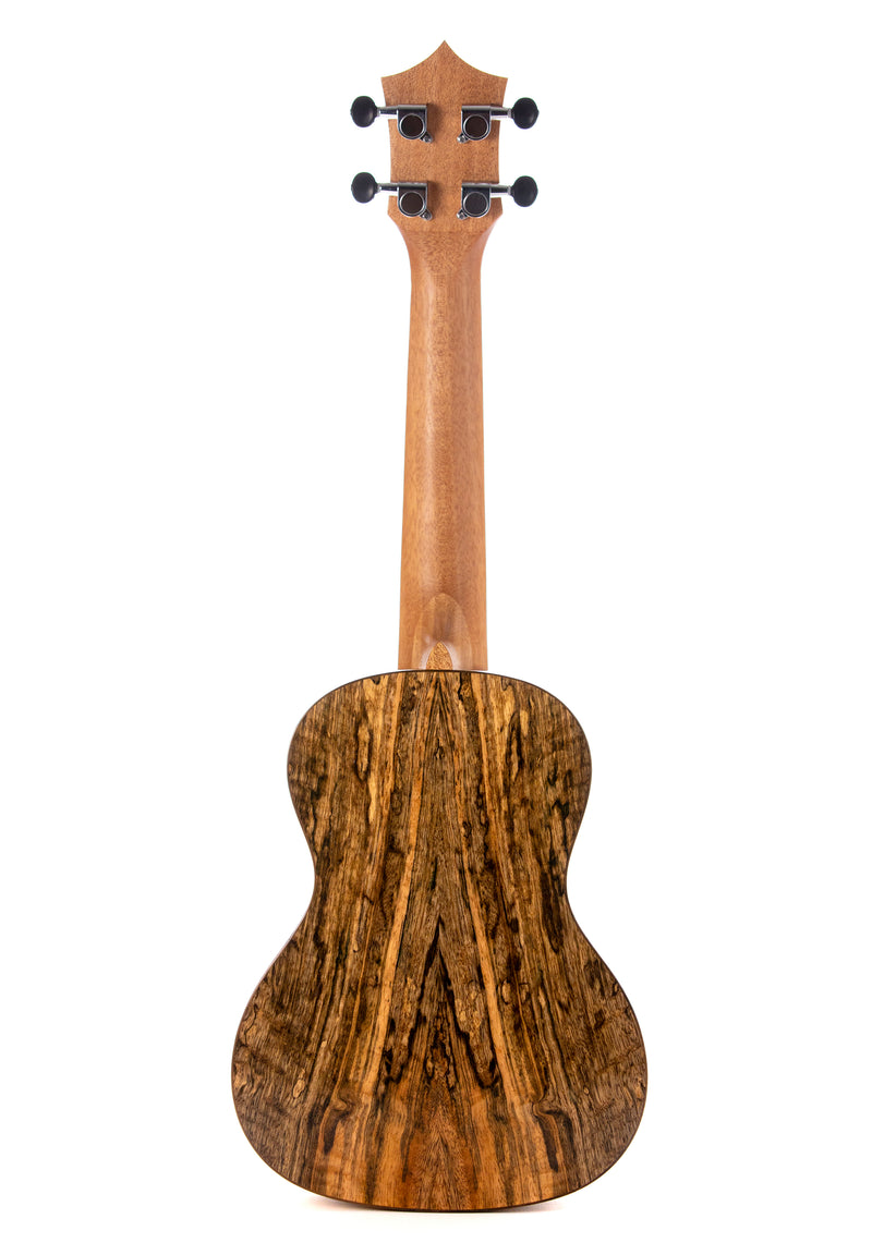 Leolani Concert Mango TUX Finish Ukulele