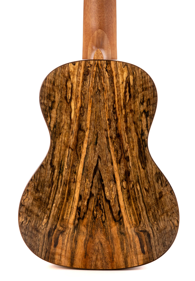 Leolani Concert Mango TUX Finish Ukulele