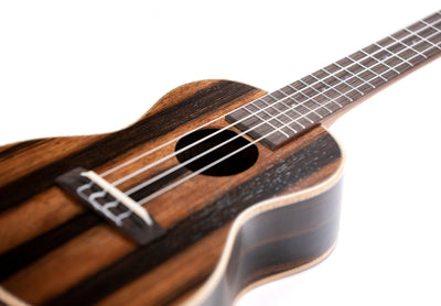 Leolani Concert Macassar Ebony TUX Finish Ukulele