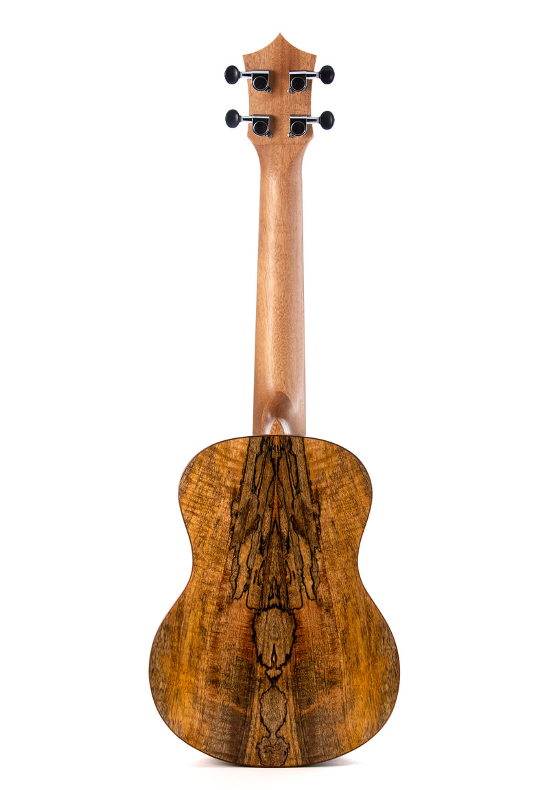 Leolani Tenor Mango TUX Finish Ukulele