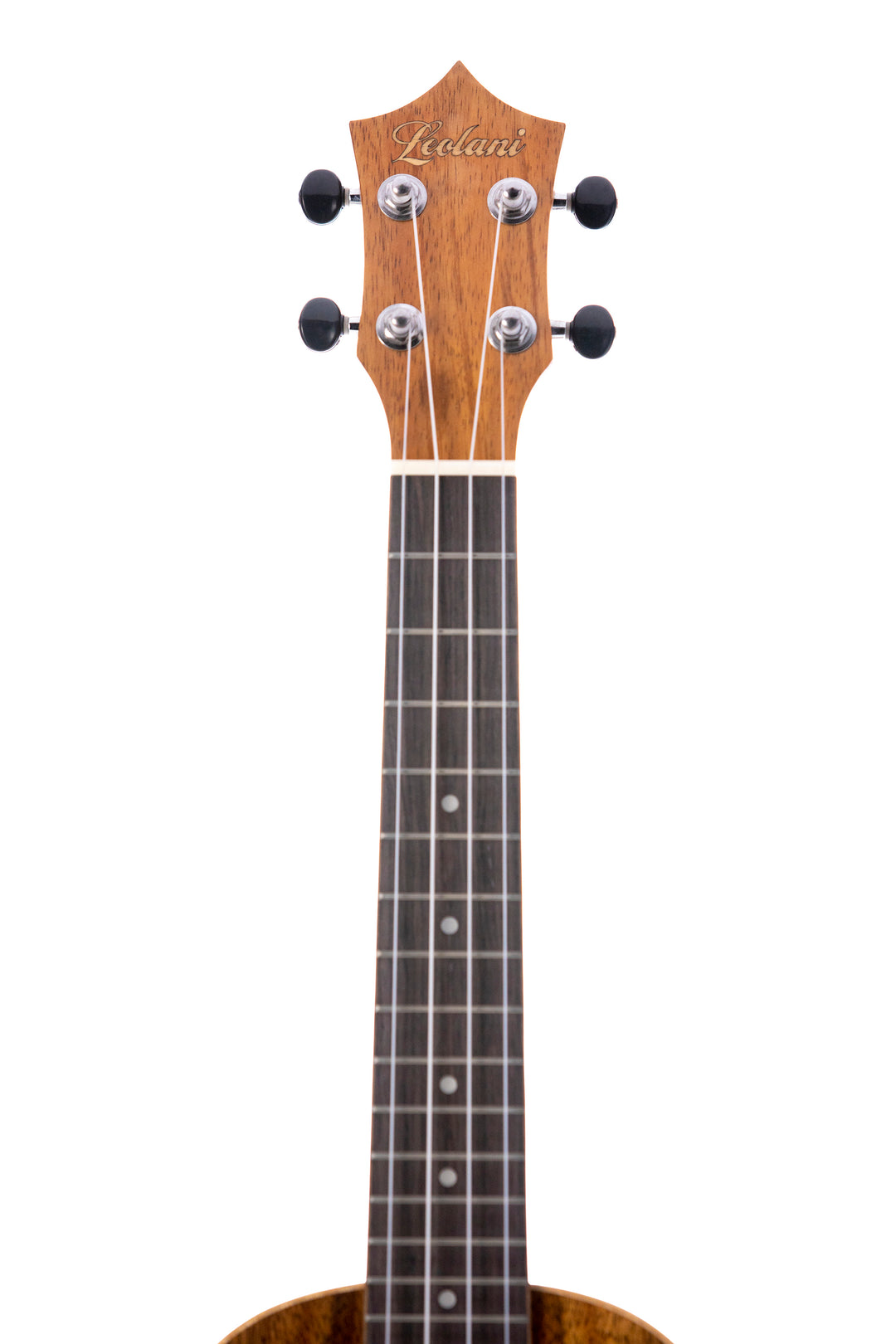 Leolani Tenor Hawaiian Koa TUX Finish Ukulele – Leolaniウクレレ